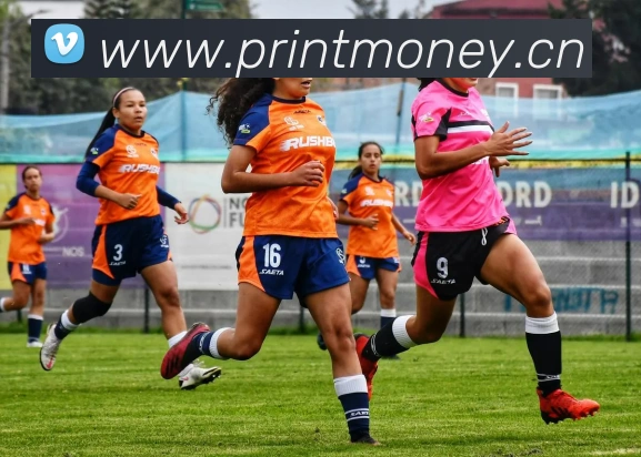 星空体育平台入口平台生态图